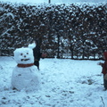 TR 80 snowman